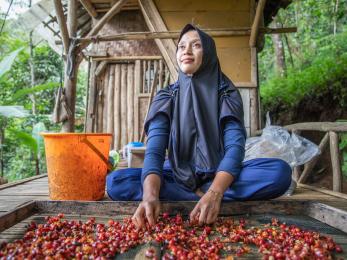 A coffee farmer processing coffee berries.