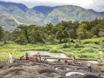 Farmers in timor leste create terraced plots adjacent to a creek.