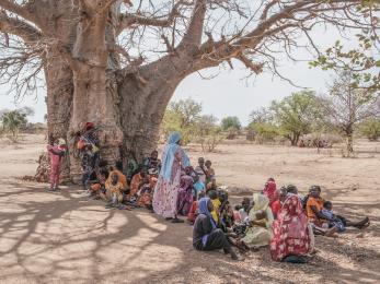 Women wait under the shade of a tree to register for food assistance.